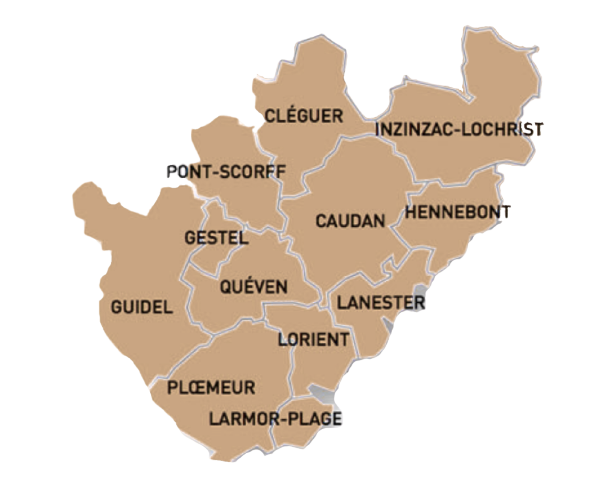 zone d'intervention frelons en Bretagne Sud